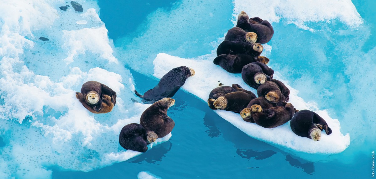 Explora: Alaska - Wildes Land