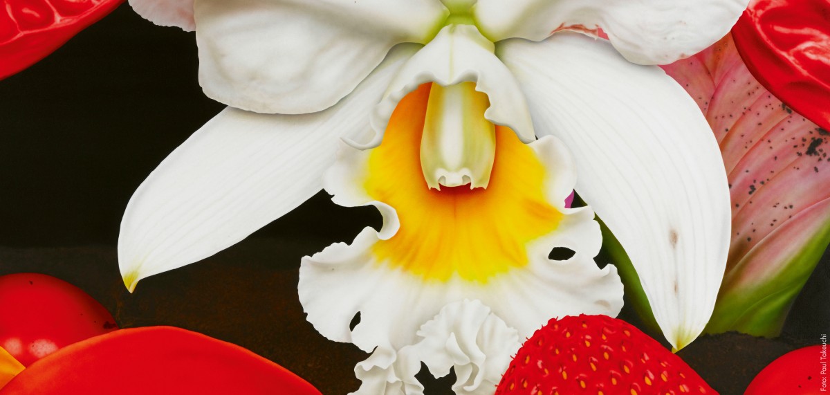 Vernissage «Florale Welten»