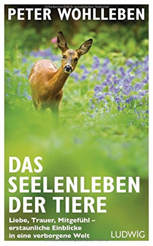 Seelenleben